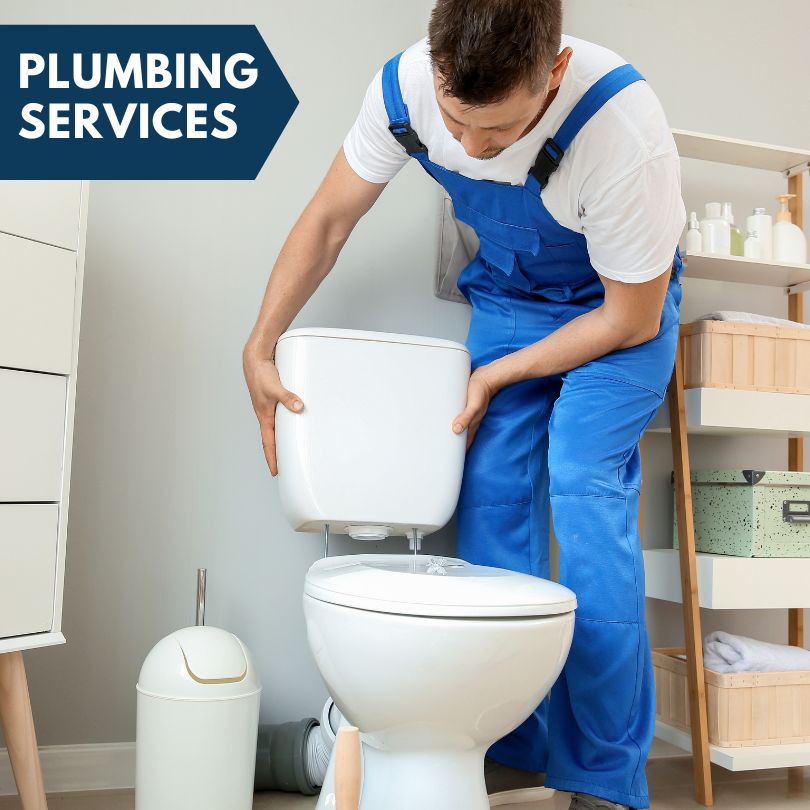 Plumbing Company in Cayuta, NY